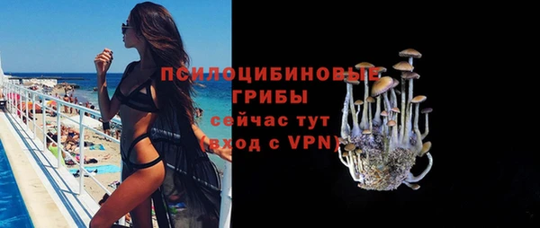 каннабис Арсеньев