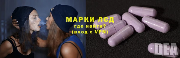 PSILOCYBIN Аркадак