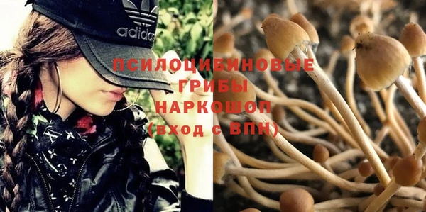 спайс Армянск