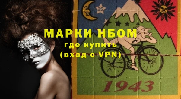 PSILOCYBIN Аркадак
