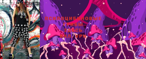 PSILOCYBIN Аркадак