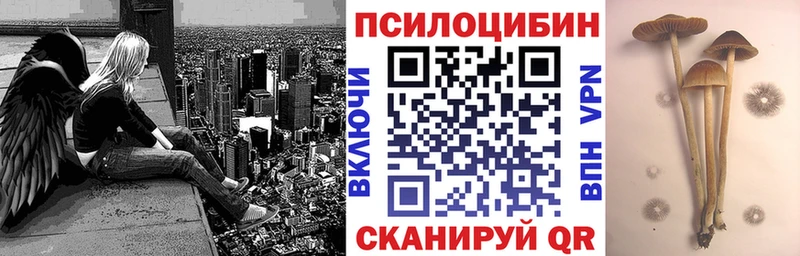 Псилоцибиновые грибы мицелий  Николаевск-на-Амуре 